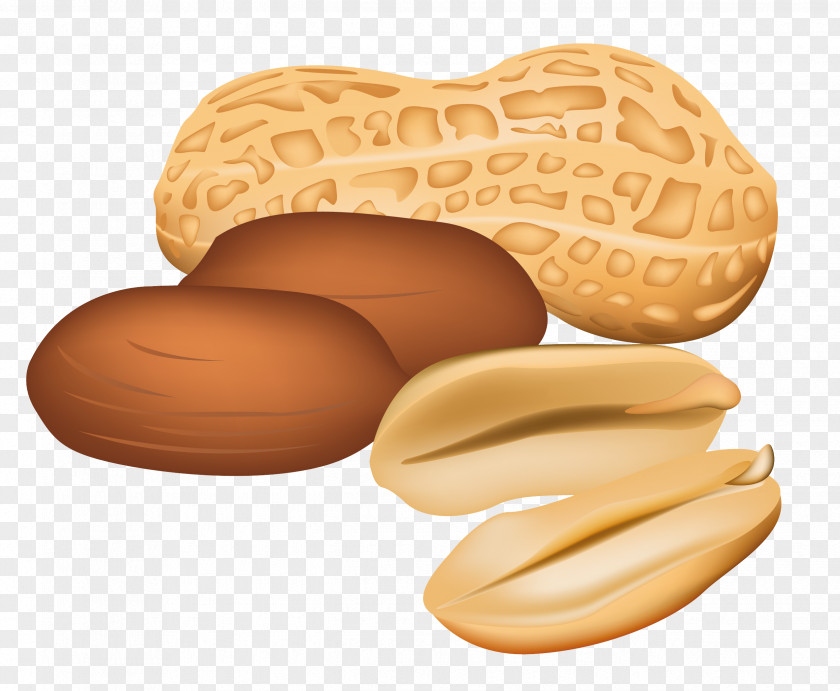 Peanuts Clipart Picture Peanut Butter And Jelly Sandwich Clip Art PNG