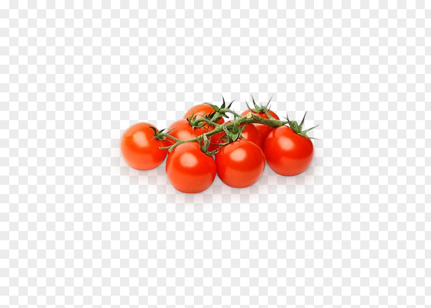 интернет магазин продуктов с доставкойPizza Pizza Cherry Tomato Italian Cuisine Vegetable 