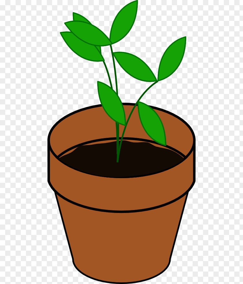 Plant Houseplant Flowerpot Clip Art PNG