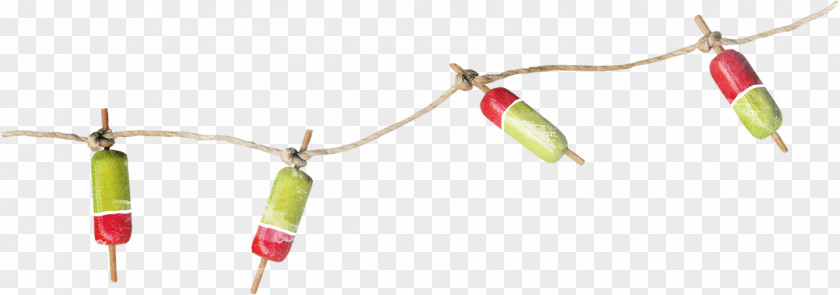Small Red And Green Elements Hanging On The Rope Hemp PNG