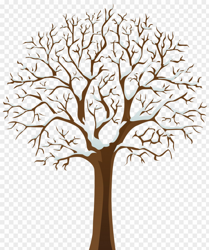 Snowy Winter Tree Transparent Image Clip Art PNG