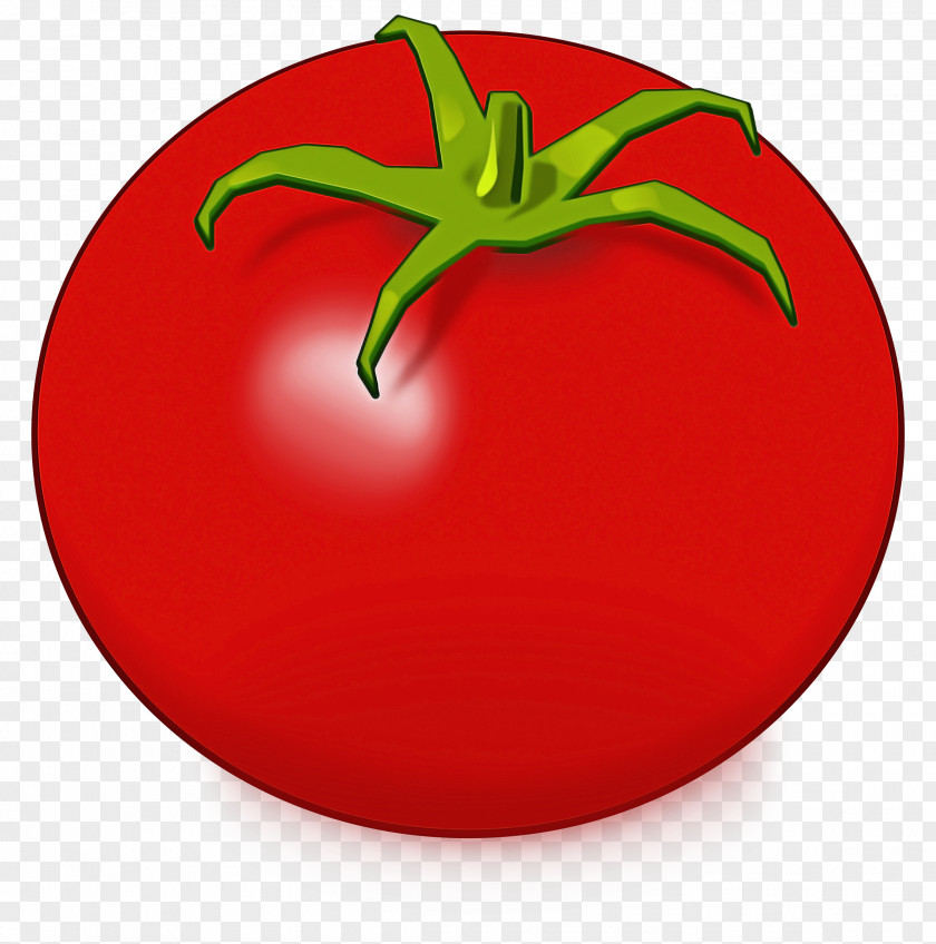 Solanales Nightshade Family Tomato PNG