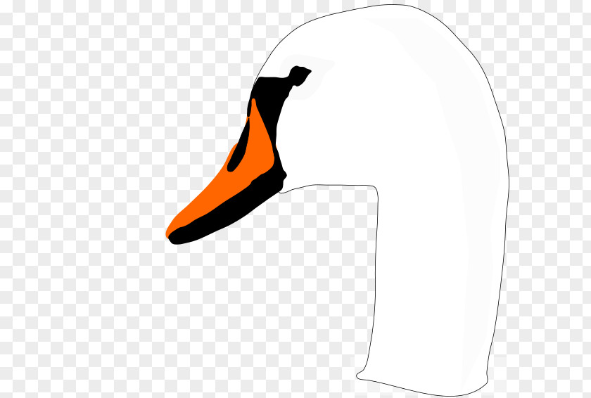Swan Vector Bird Duck Clip Art PNG