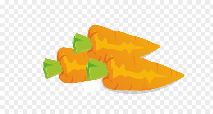 Vector Carrot Vegetable Fruit Food Clip Art PNG