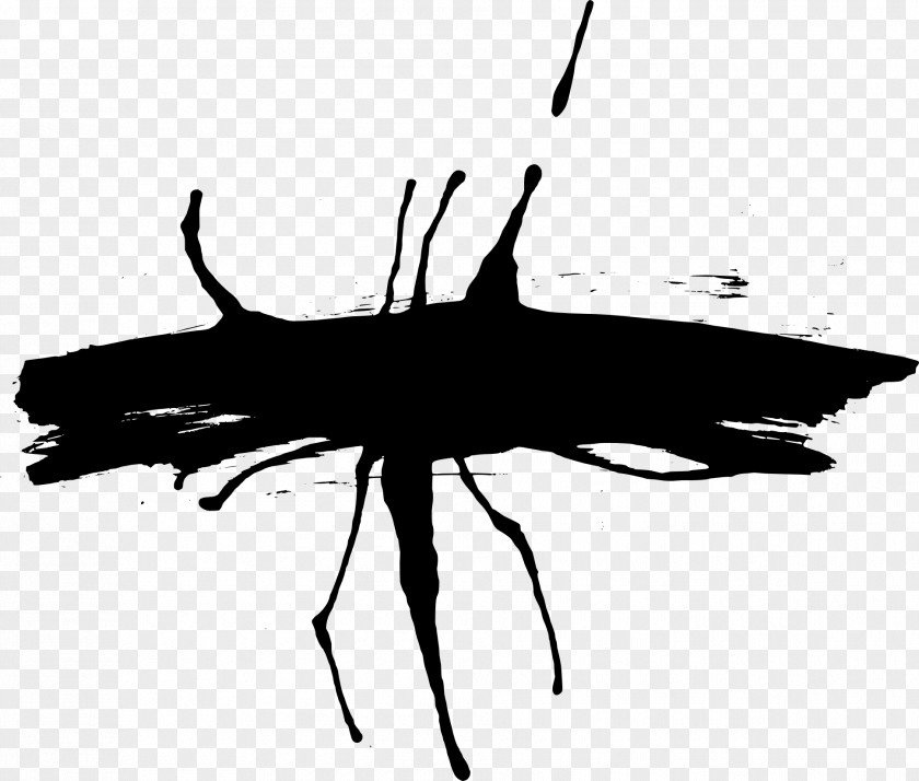 Brush Strokes Insect Paper Black And White Monochrome Photography PNG