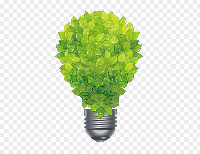Creative Green Leaf Light Bulb Clip Art PNG