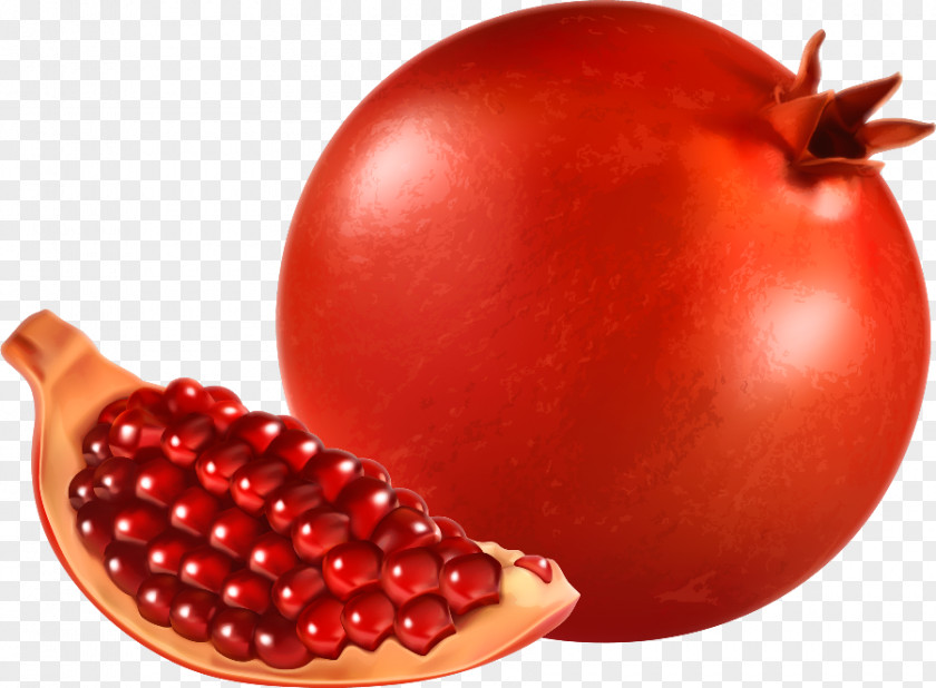 Pomegranate Clip Art Openclipart Free Content PNG