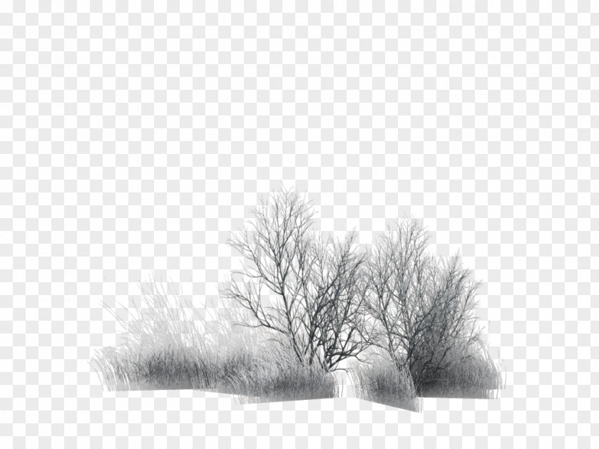 Tree Branch Painting Black PNG