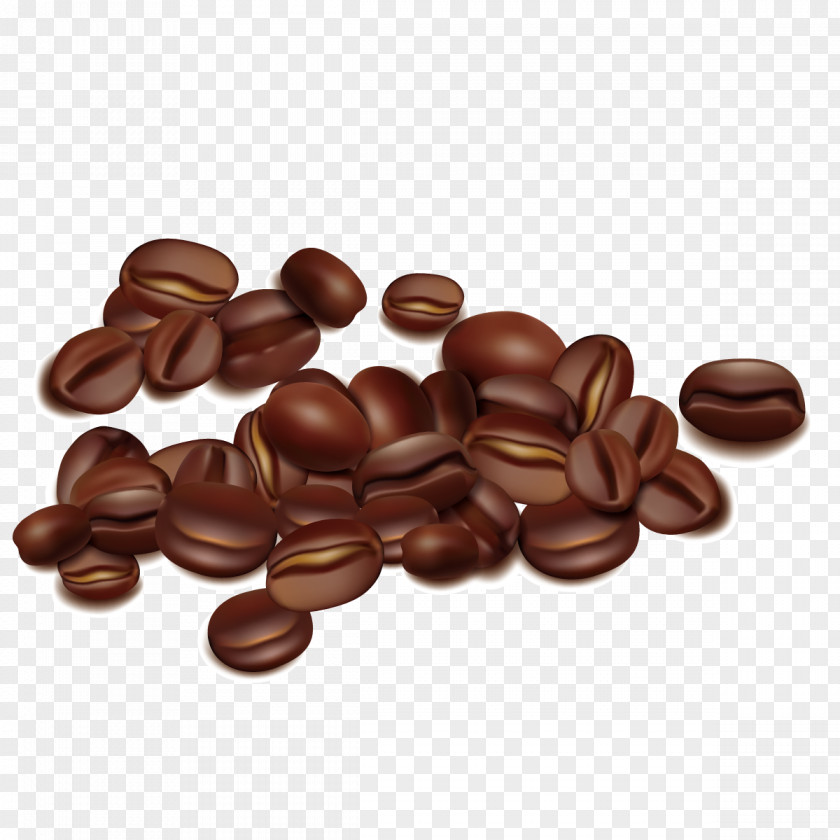 Vector Coffee Beans Bean Seed PNG