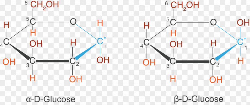 Alphabeta L-Glucose Haworth Projection Stereoisomerism Sugar PNG