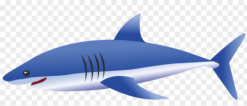 Big Blue Shark Tiger Fin PNG