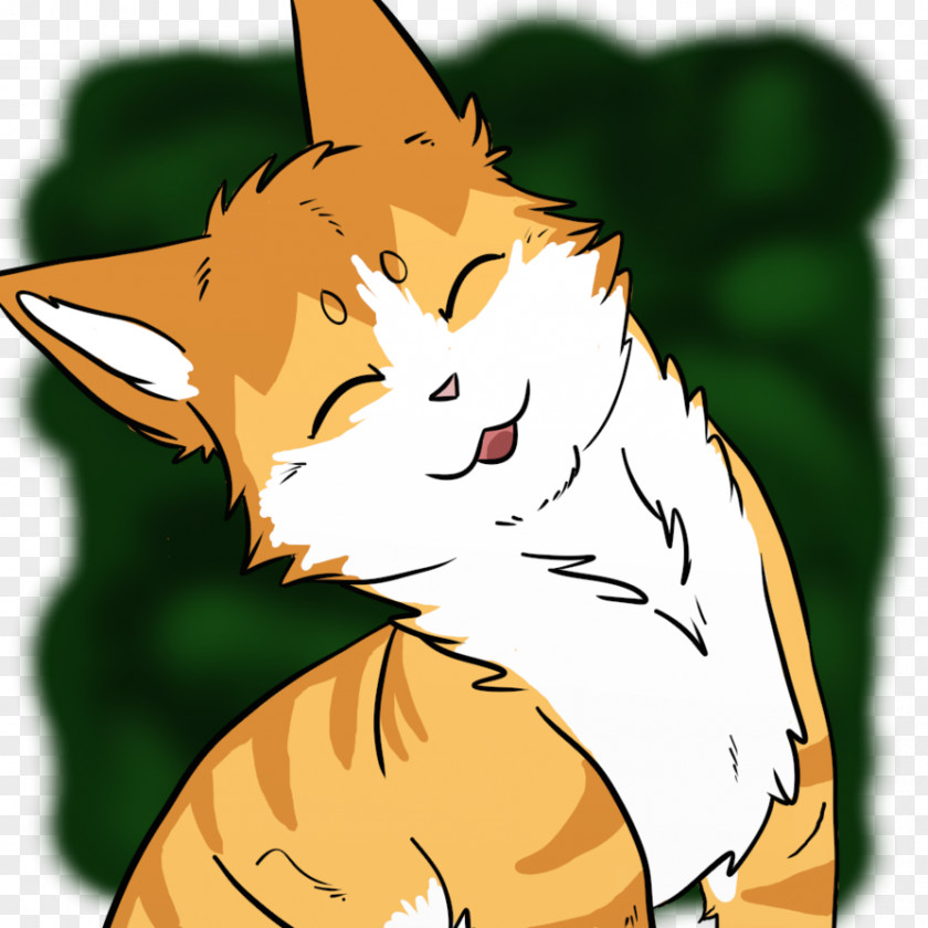 Kitten Whiskers Cat Fox Dog PNG