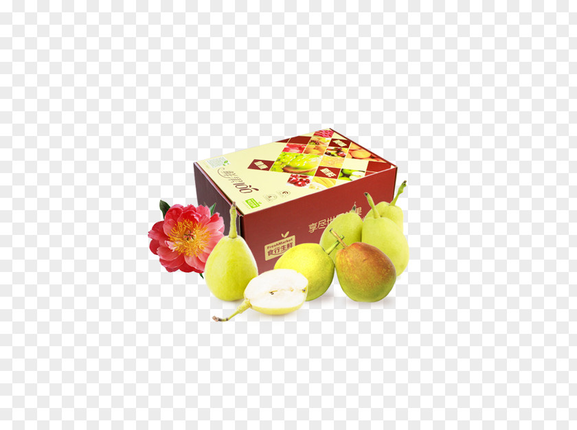Pear Fruit Flower PNG