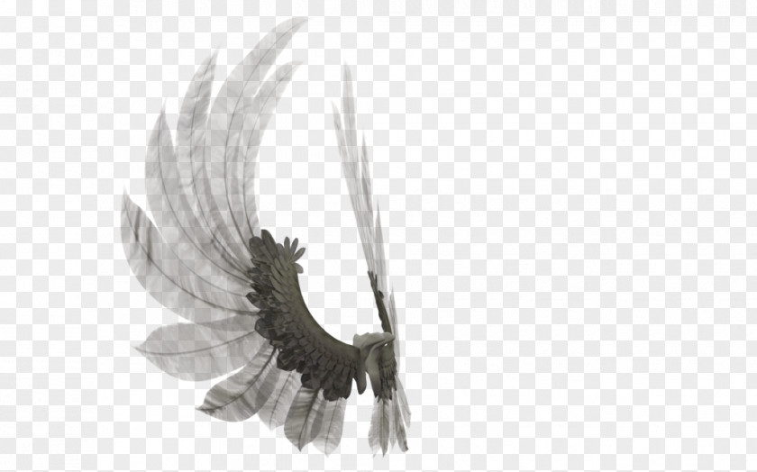 Angel Feathers Eagle Beak Feather PNG