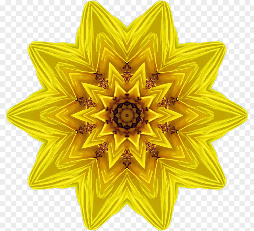Common Sunflower Kaleidoscope PNG