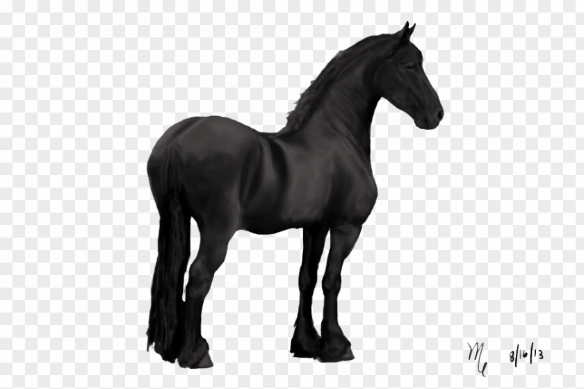 Dark Horse Friesian American Quarter Stallion Mustang Black PNG