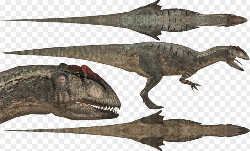 Land Animals Allosaurus Apatosaurus Diplodocus Postosuchus Velociraptor PNG