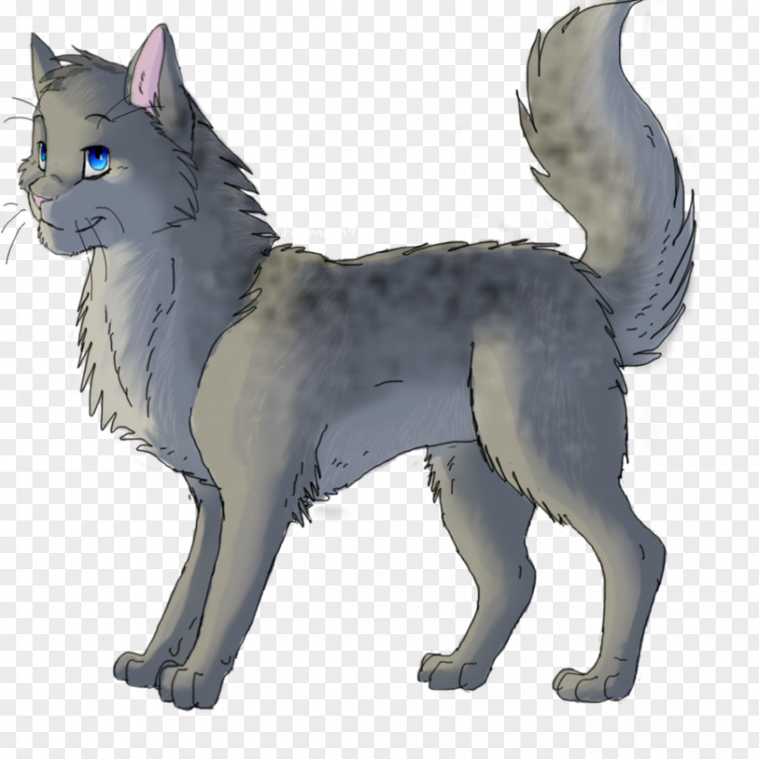 Warrior Cats Cat Warriors Fire And Ice Ashfur ThunderClan PNG