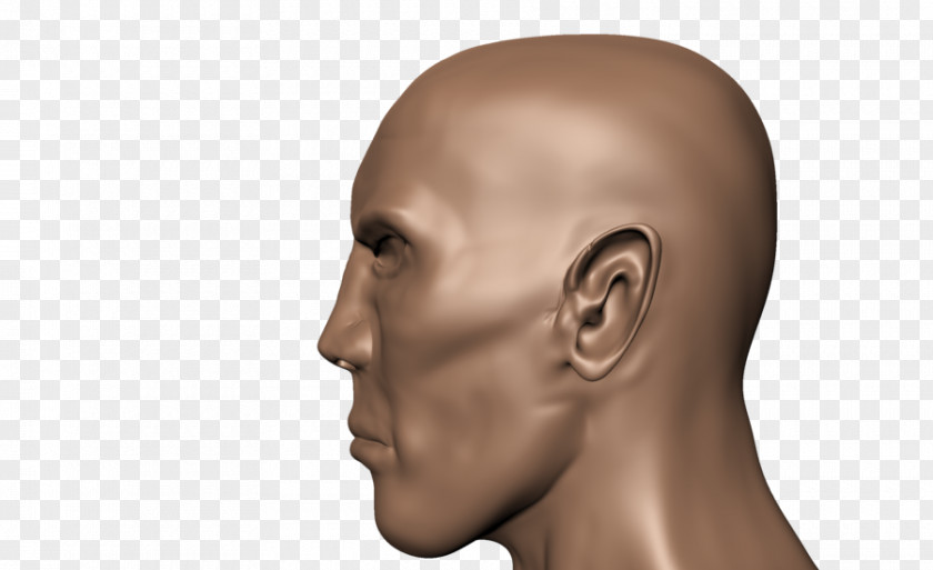 Side View Human Head Face Body Skull PNG