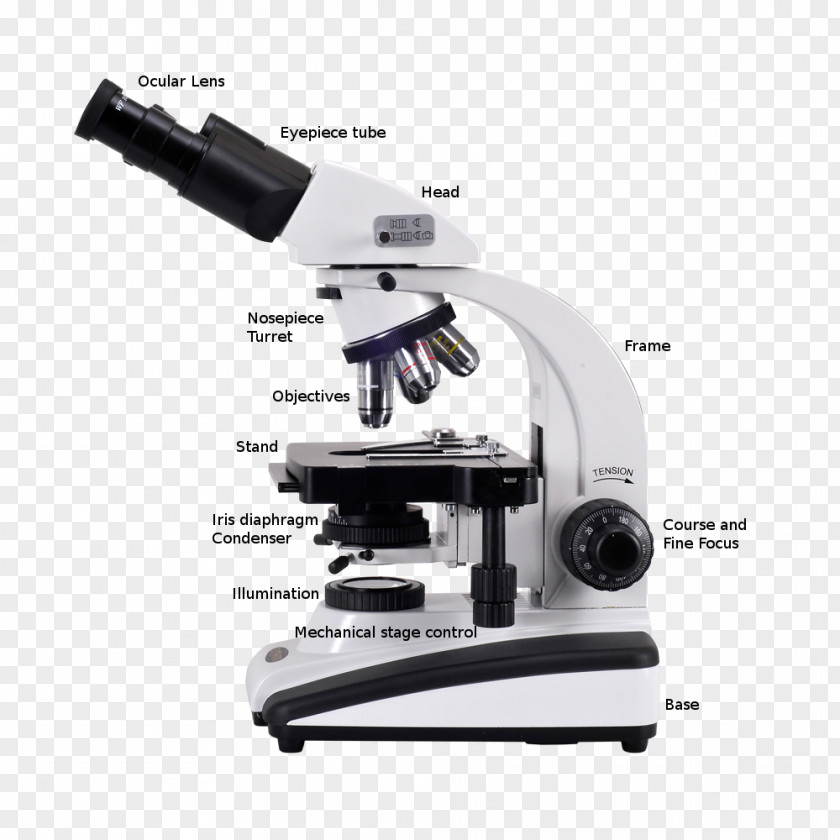 Stereoscopic Optical Microscope Digital Scanning Electron PNG