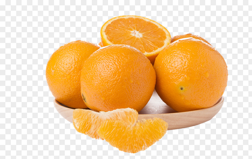 Yogo Frame Tea Citrus Margarita Fruit Kumquat Orange PNG