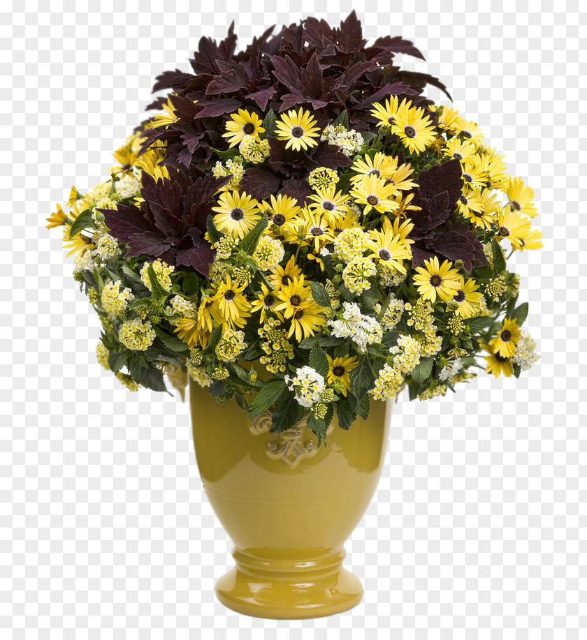 Container Garden Flowerpot Houseplant PNG