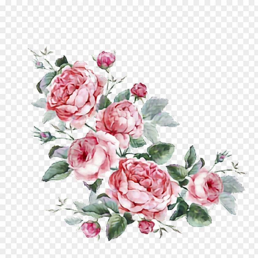 Flower Floral Design Stock Photography Royalty-free Illustration PNG
