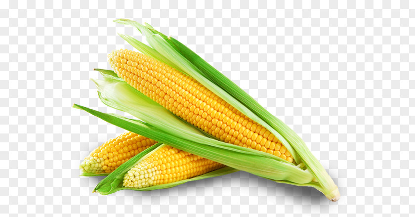 Grilled Salmon Corn On The Cob Sweet Maize Corncob Oil PNG