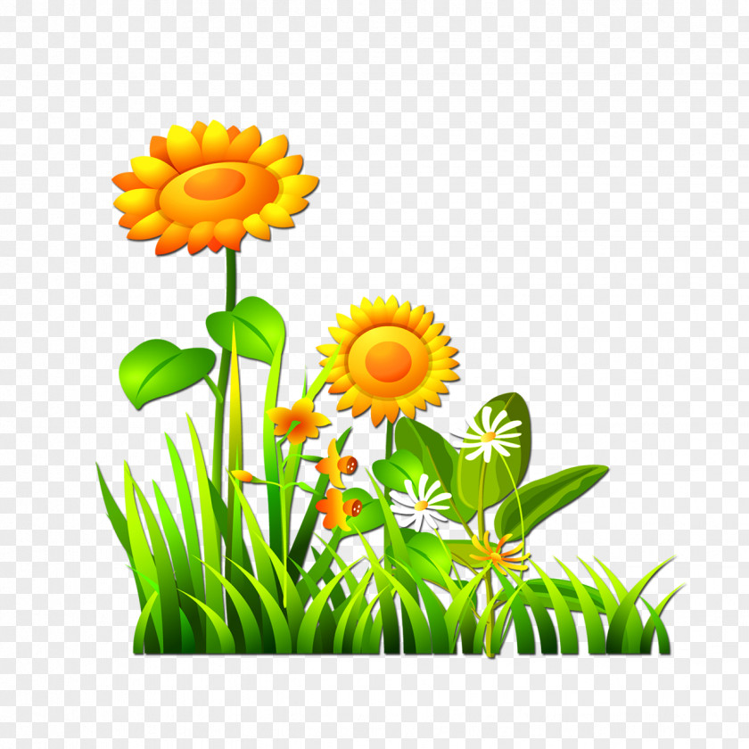 Sunflower Computer File PNG