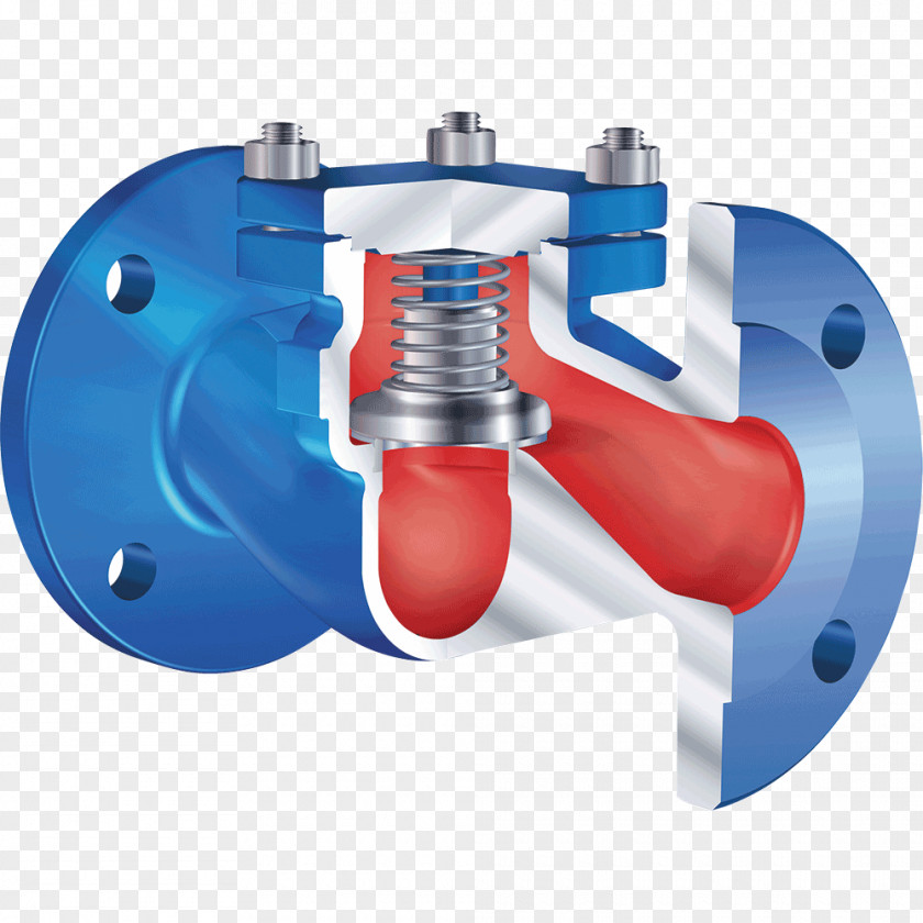 Declaration Check Valve Control Valves Nominal Pipe Size Butterfly PNG