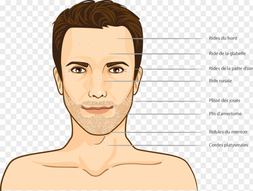 Ear Face Forehead Wrinkle Botulinum Toxin PNG