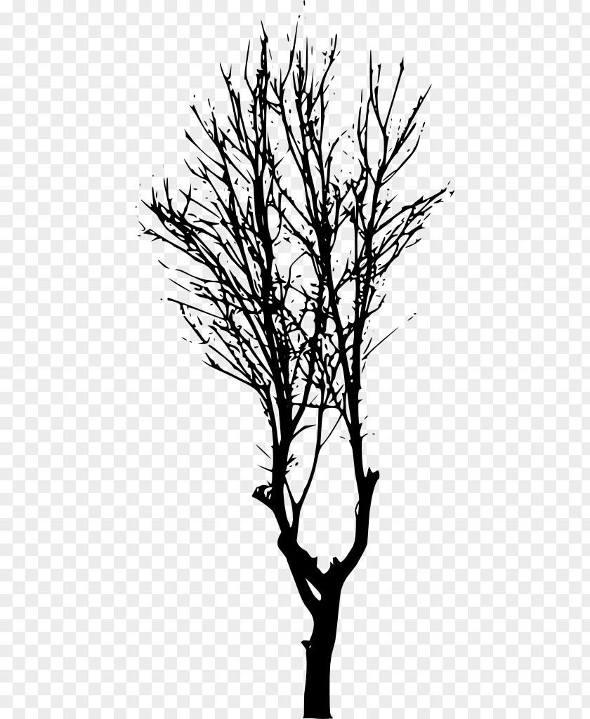 Photo Tree Silhouette Image Vector Graphics Clip Art PNG