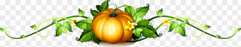 Pumpkin,vegetables,leaf Pumpkin Vine Royalty-free Clip Art PNG