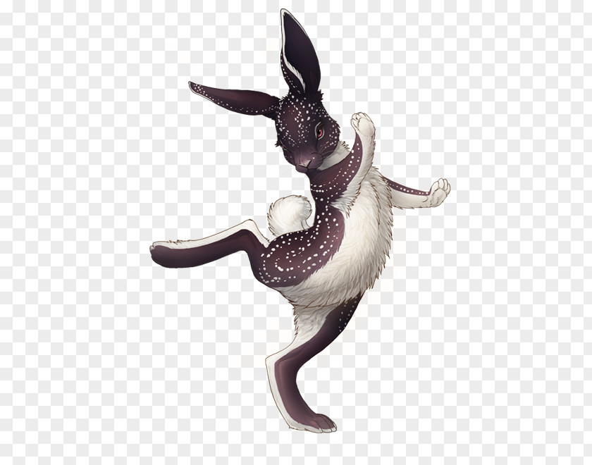 Rabbit Hare History Drawing Video PNG