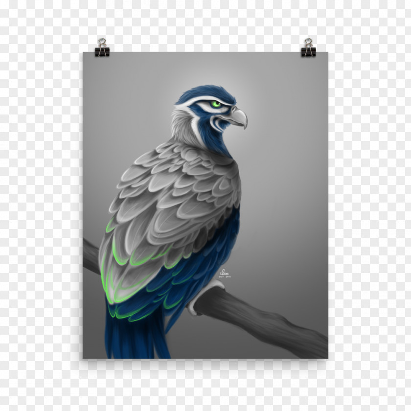 Seattle Seahawks Macaw Bird Of Prey Art PNG