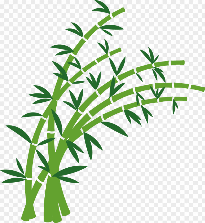 The Wind Blows Bamboo Euclidean Vector PNG
