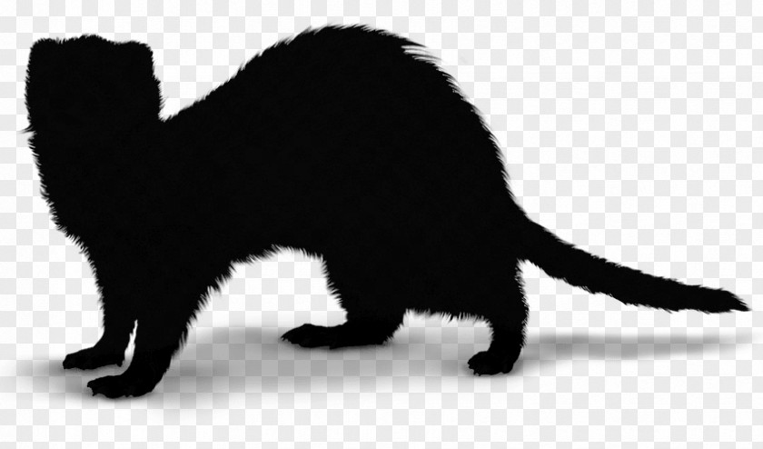 Black Cat Kitten Whiskers Dog PNG