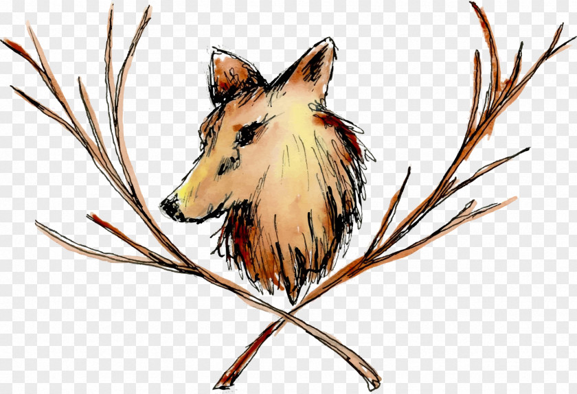 Deer Illustration Fauna Fox Neue Westfälische PNG
