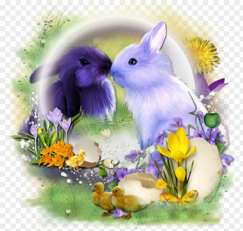 Easter Domestic Rabbit Bunny PNG