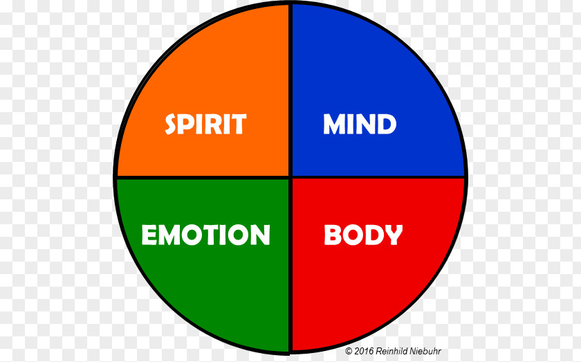 Entrepreneurial Spirit Human Body Emotion Organization Leadership Bodymind PNG