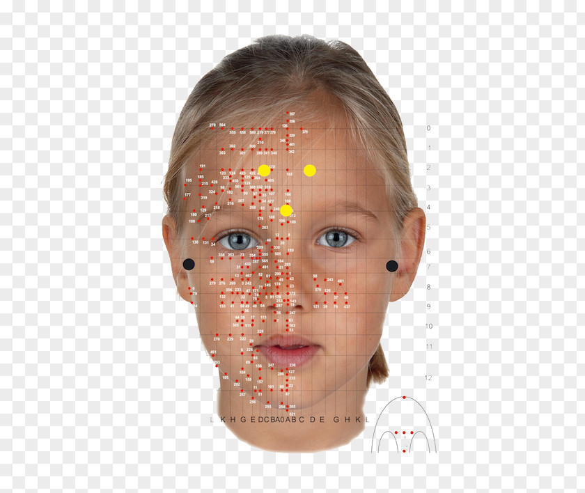 Face Chart Cheek Facial Reflexology: A Self-Care Manual La Reflexología PNG