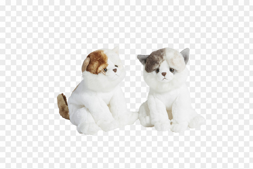 Kitten Cat Stuffed Animals & Cuddly Toys Molli Premium Kot 24 Cm PNG