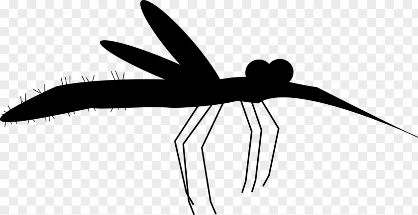 M Angle Line Clip Art Insect Black & White PNG