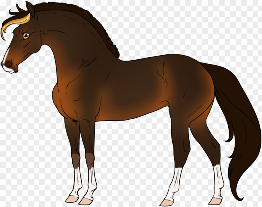 Mustang Mane Pony Stallion Foal Rein PNG