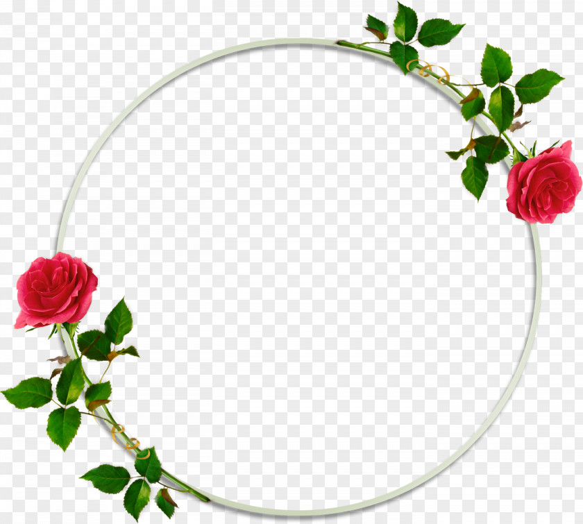 Round Frame Picture Frames Photography Flower PNG