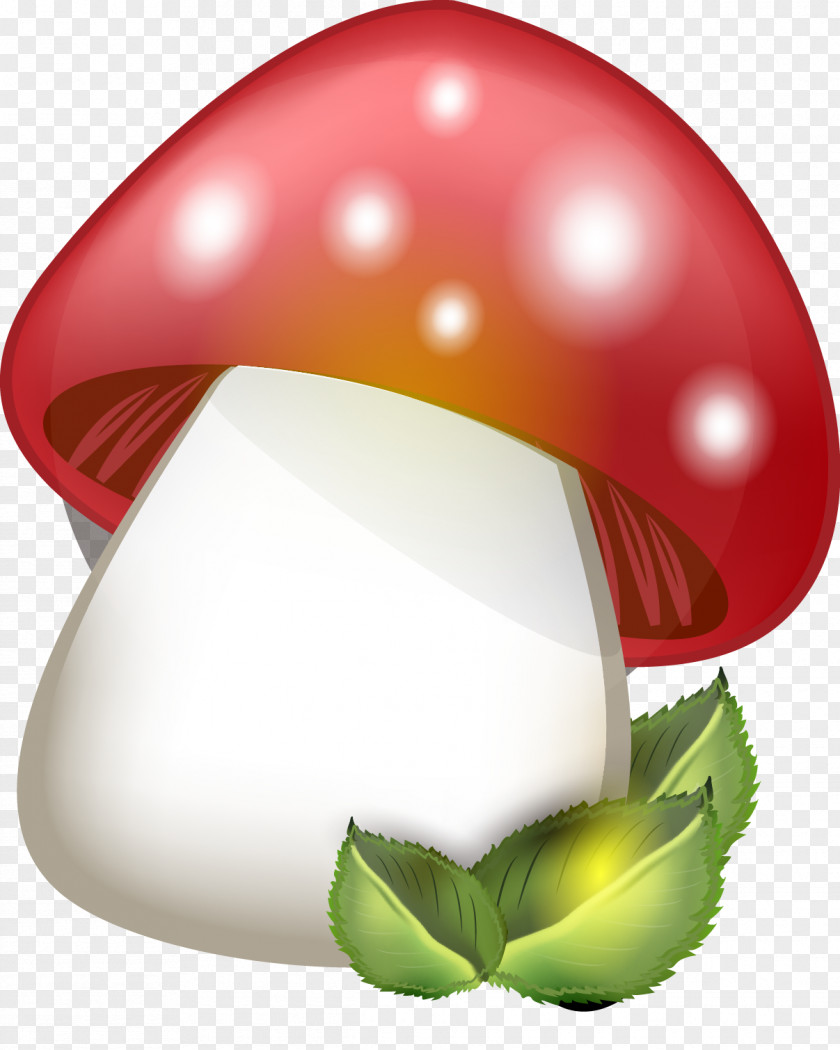 Vector Mushrooms Euclidean Mushroom PNG