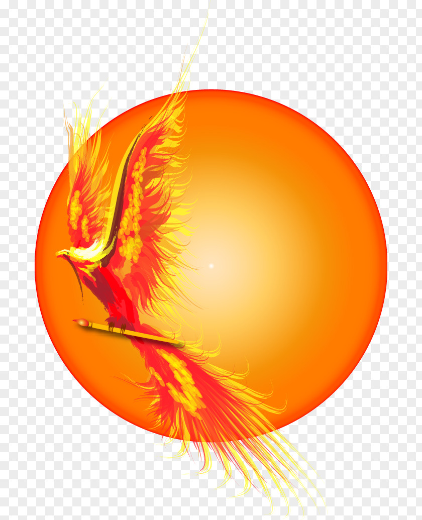 Apostrophe Illustration Clip Art Drawing Phoenix PNG
