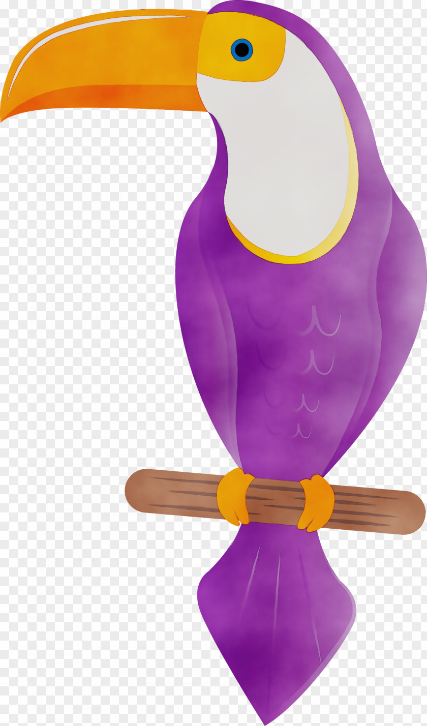 Beak Purple PNG