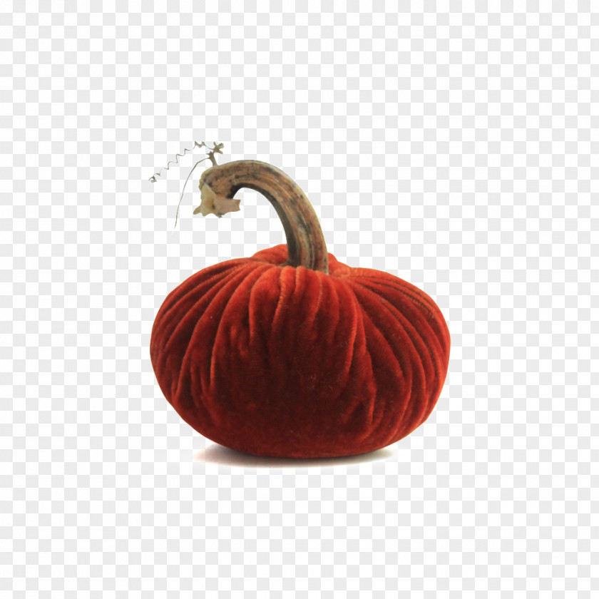 Pumpkin Thanksgiving Holiday Centrepiece Gift PNG