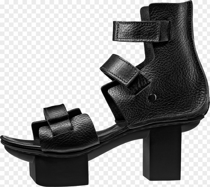 Sandal Heel Shoe Ankle Patten PNG